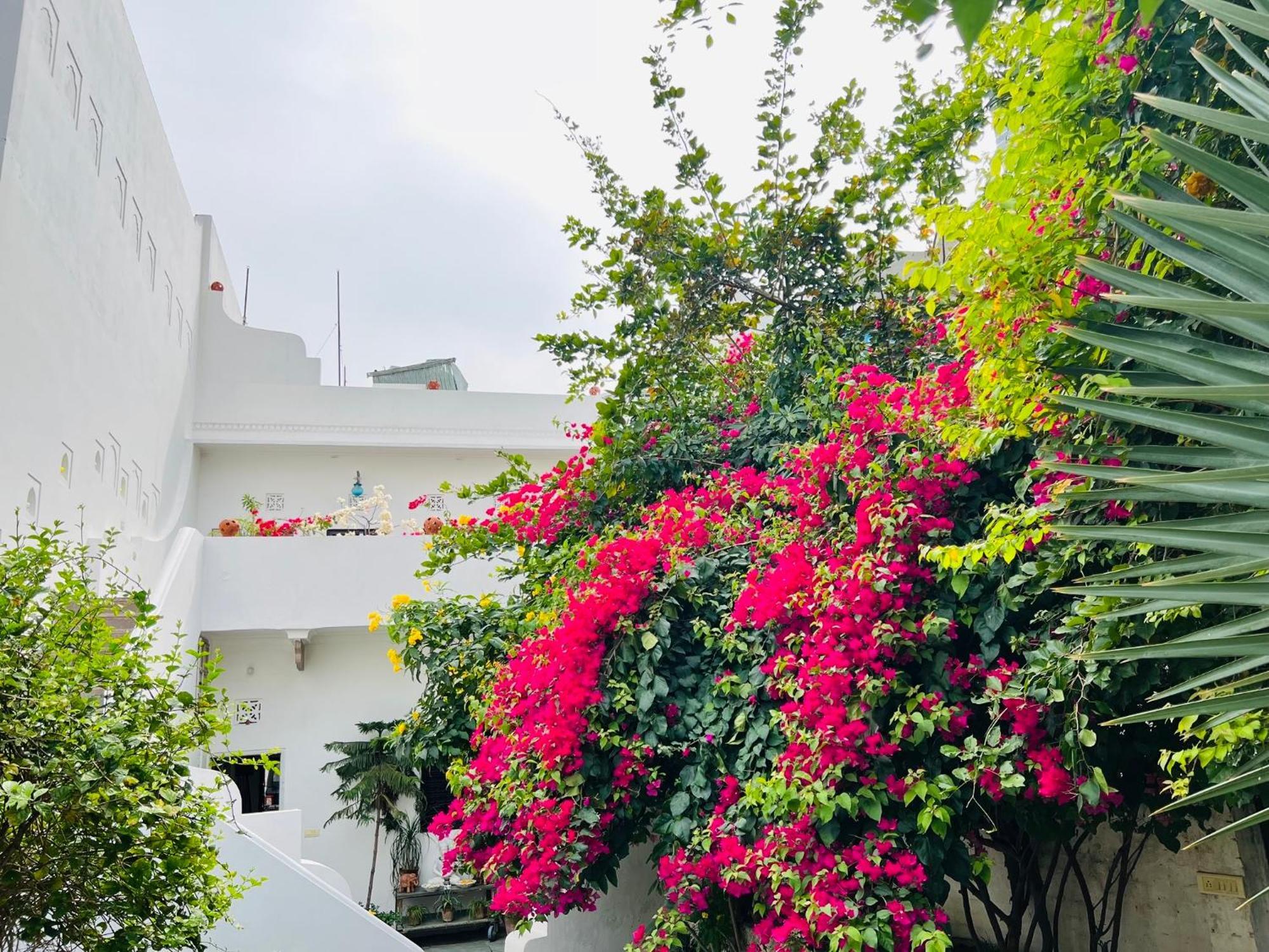 Mosaics Guest House Jaipur Exterior foto